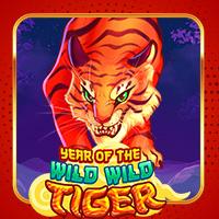 Year Of The Wild Wild Tiger